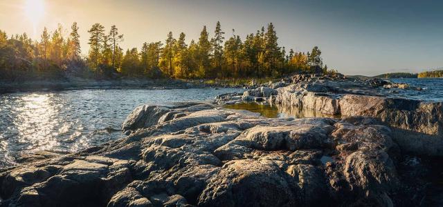 Rocky Shore